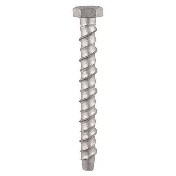 Thunderbolt Concrete Anchor Bolt - 10mm Hex Head