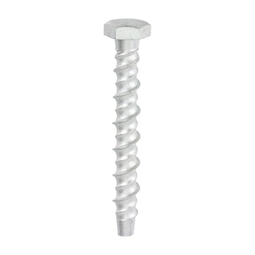 Thunderbolt Concrete Anchor Bolt - 8mm Hex Head