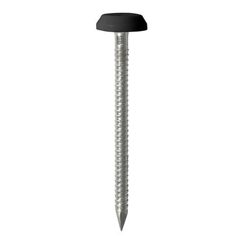 50mm Black uPVC Poly Top Nails stainless steel