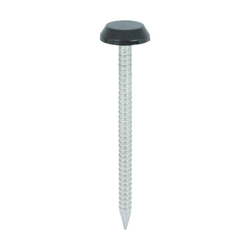 50mm Black uPVC Poly Top Nails stainless steel