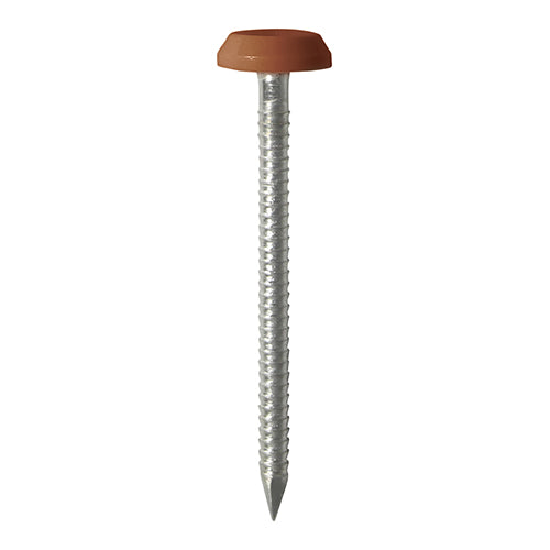 50mm Brown uPVC Poly Top Nails Stainless Steel
