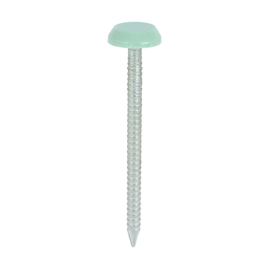 Green 50mm uPVC Poly Top Nails Stainless Steel