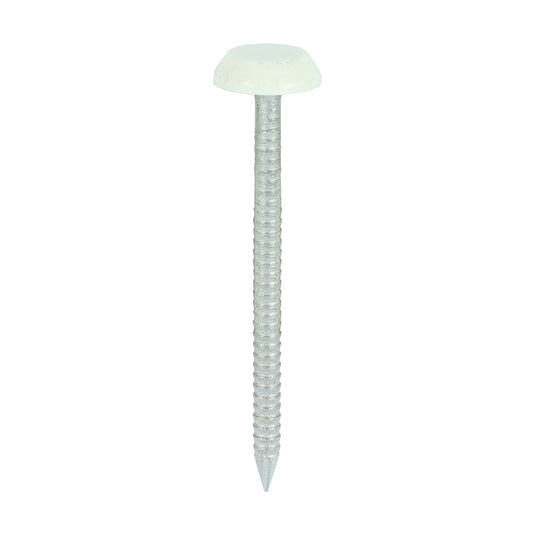 50mm Cream uPVC Poly Top Nails Stainless Steel