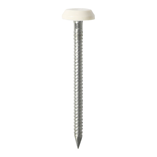 50mm White uPVC Poly Top Nail stainless steel