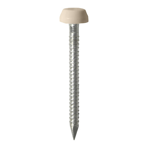 25mm Beige uPVC Poly Top Nail stainless steel