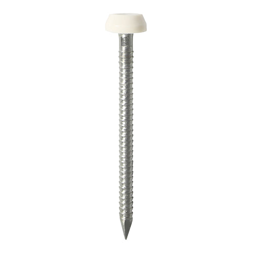 25mm White uPVC Poly Top Nail stainless steel