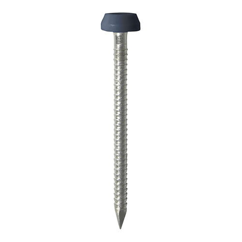 30mm grey uPVC Poly Top Nail stainless steel