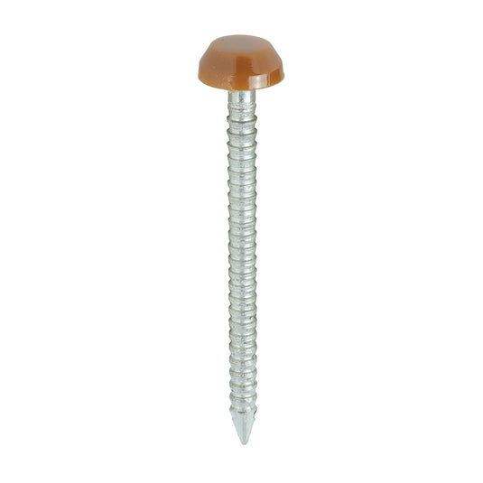 30mm brown uPVC Poly Top Nail stainless steel