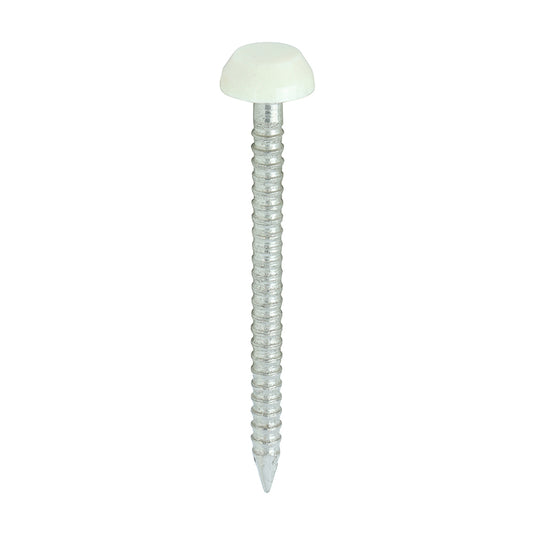 30mm cream uPVC Poly Top Nail stainless steel
