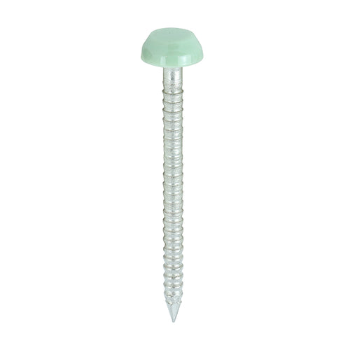 30mm green uPVC Poly Top Nail stainless steel