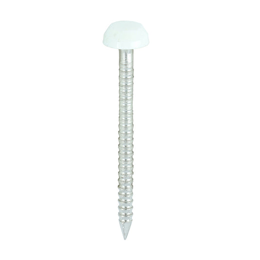 30mm White uPVC Poly Top Nail stainless steel