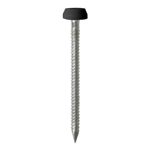 40mm black uPVC Poly Top Nail stainless steel