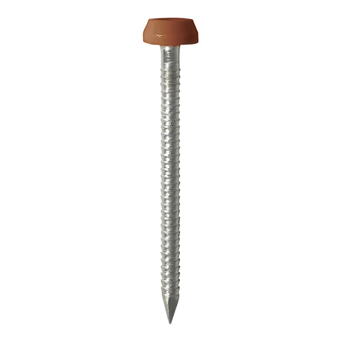 40mm brown uPVC Poly Top Nail stainless steel