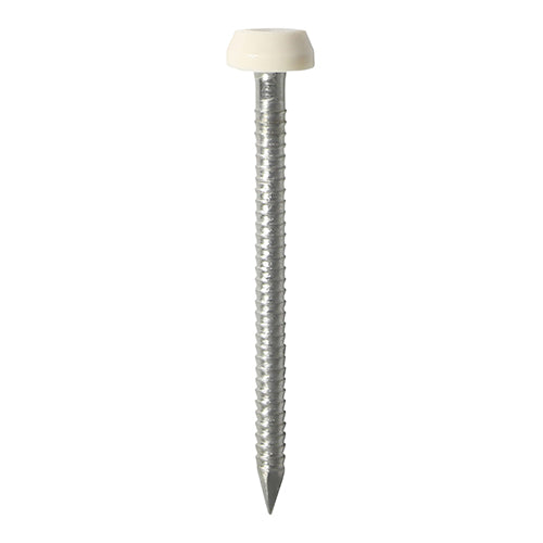 40mm cream uPVC Poly Top Nail stainless steel