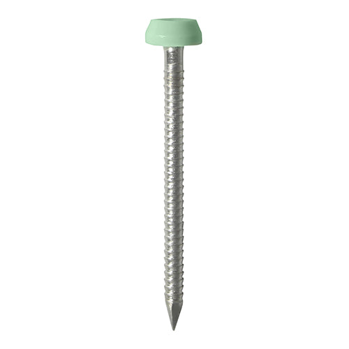 40mm green uPVC Poly Top Nail stainless steel