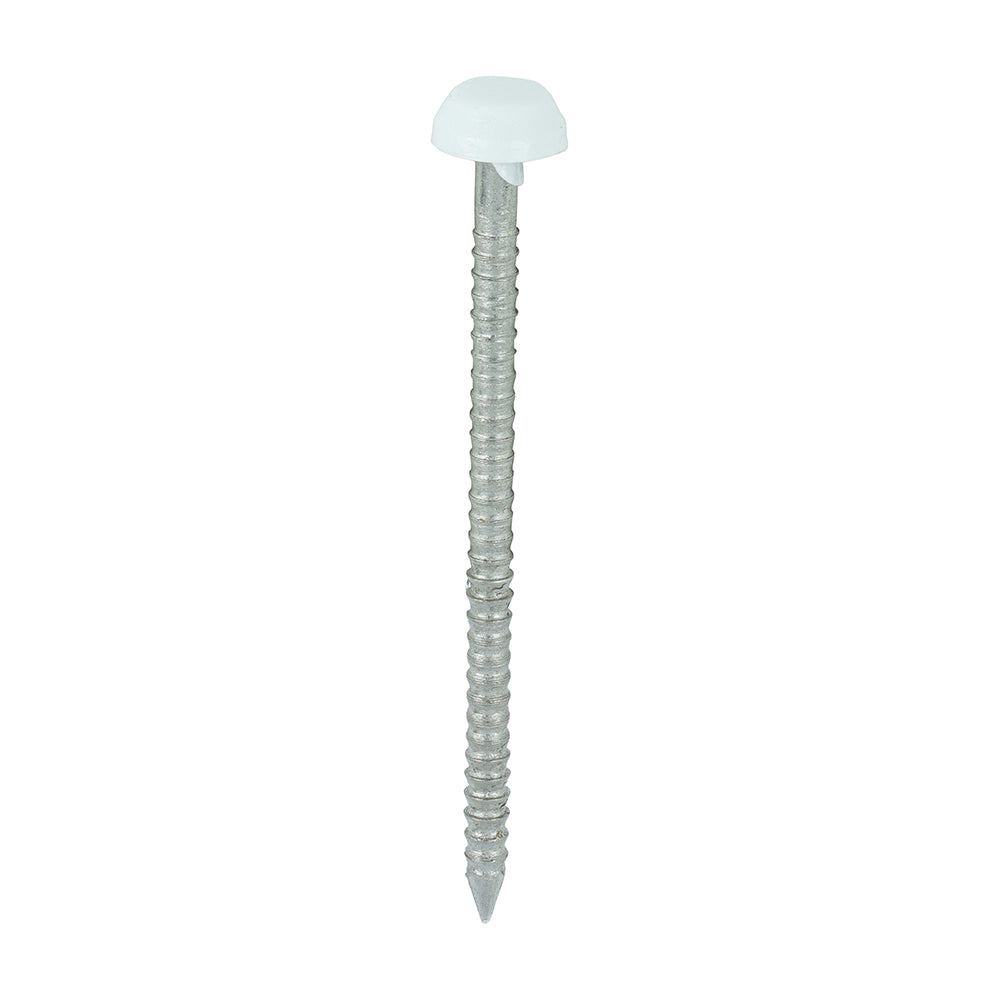 thumbnail image 2 of 50-Pack White Poly Top Pins For Caravan/RV Windows - 25mm Long, Plastic Capping 2 of 12