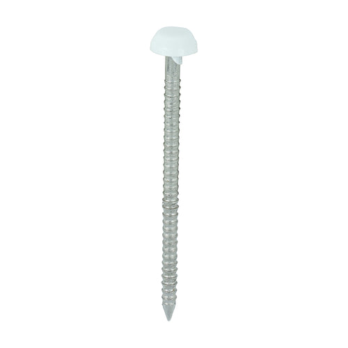 40mm White uPVC Poly Top Nail stainless steel
