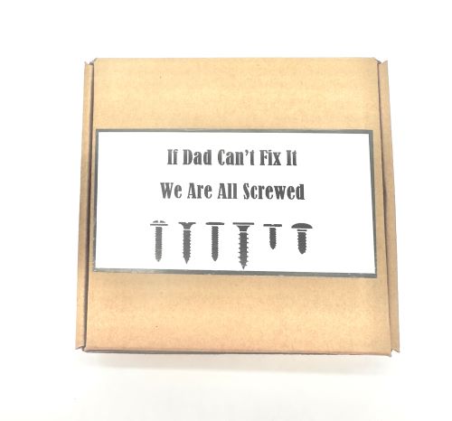 If Dad Can't Fix it - Woodscrew Box