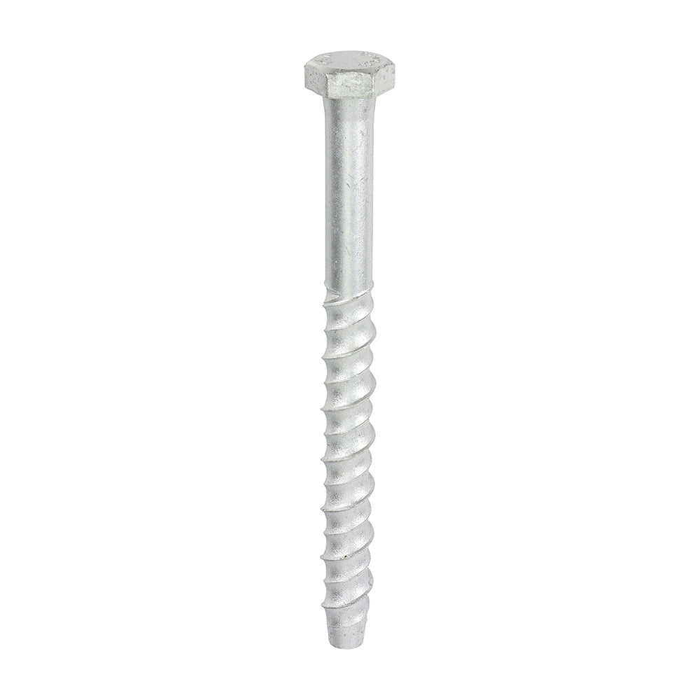 Thunderbolt Concrete Anchor Bolt - 16mm Hex Head