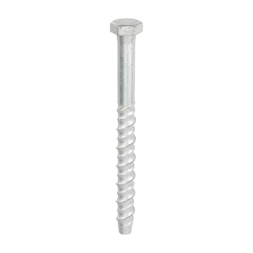 Thunderbolt Concrete Anchor Bolt - 16mm Hex Head