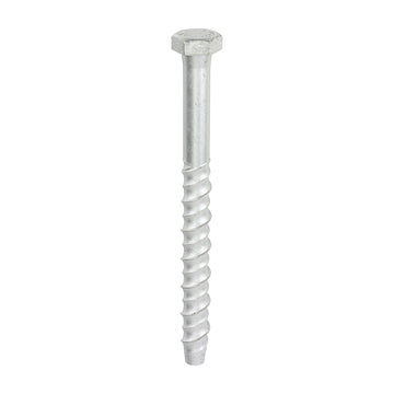 Thunderbolt Concrete Anchor Bolt - 16mm Hex Head