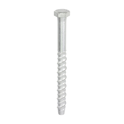 Thunderbolt Concrete Anchor Bolt - 16mm Hex Head