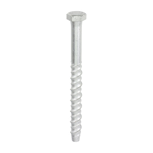 Thunderbolt Concrete Anchor Bolt - 16mm Hex Head