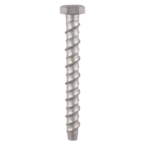 Thunderbolt Concrete Anchor Bolt - 10mm Hex Head