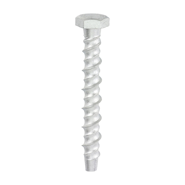 Thunderbolt Concrete Anchor Bolt - 8mm Hex Head