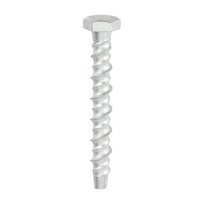 Thunderbolt Concrete Anchor Bolt - 8mm Hex Head