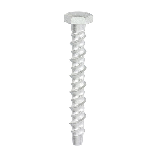 Thunderbolt Concrete Anchor Bolt - 12mm Hex Head