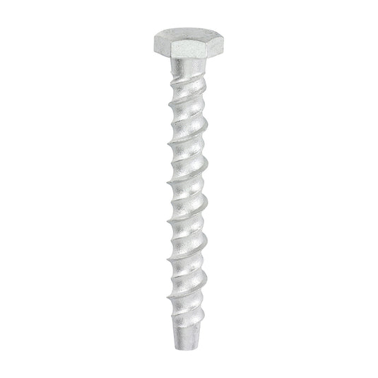 Thunderbolt Concrete Anchor Bolt - 12mm Hex Head