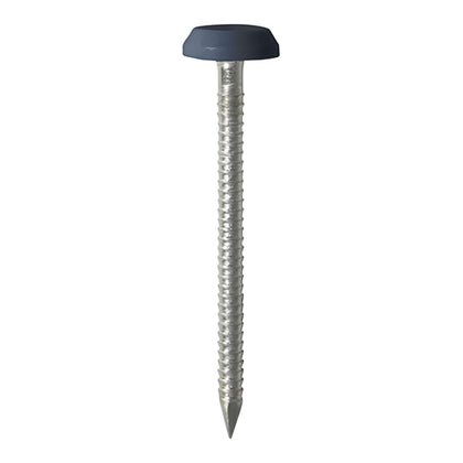 50mm Grey uPVC Poly Top Nails stainless steel
