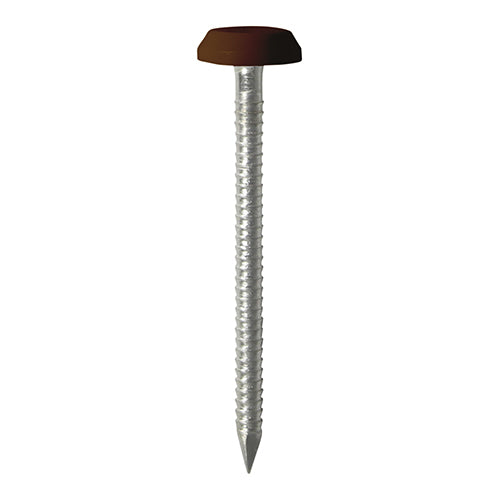 50mm Mahogany uPVC Poly Top Nails Stainless Steel