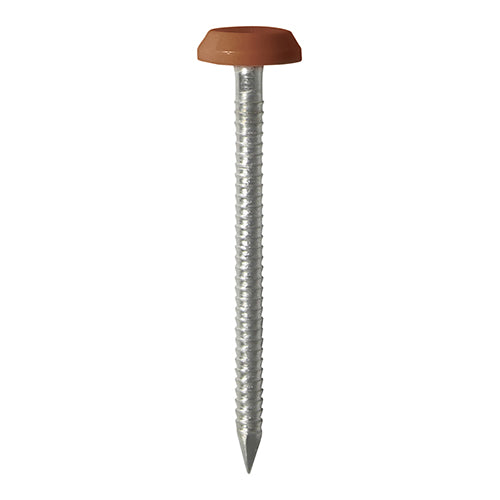 50mm Brown uPVC Poly Top Nails Stainless Steel