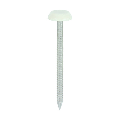 50mm Cream uPVC Poly Top Nails Stainless Steel