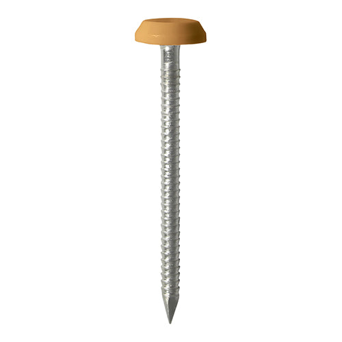 50mm Oak uPVC Poly Top Nails Stainless Steel