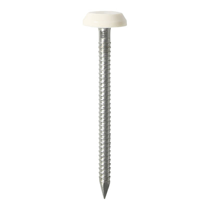 50mm White uPVC Poly Top Nail stainless steel