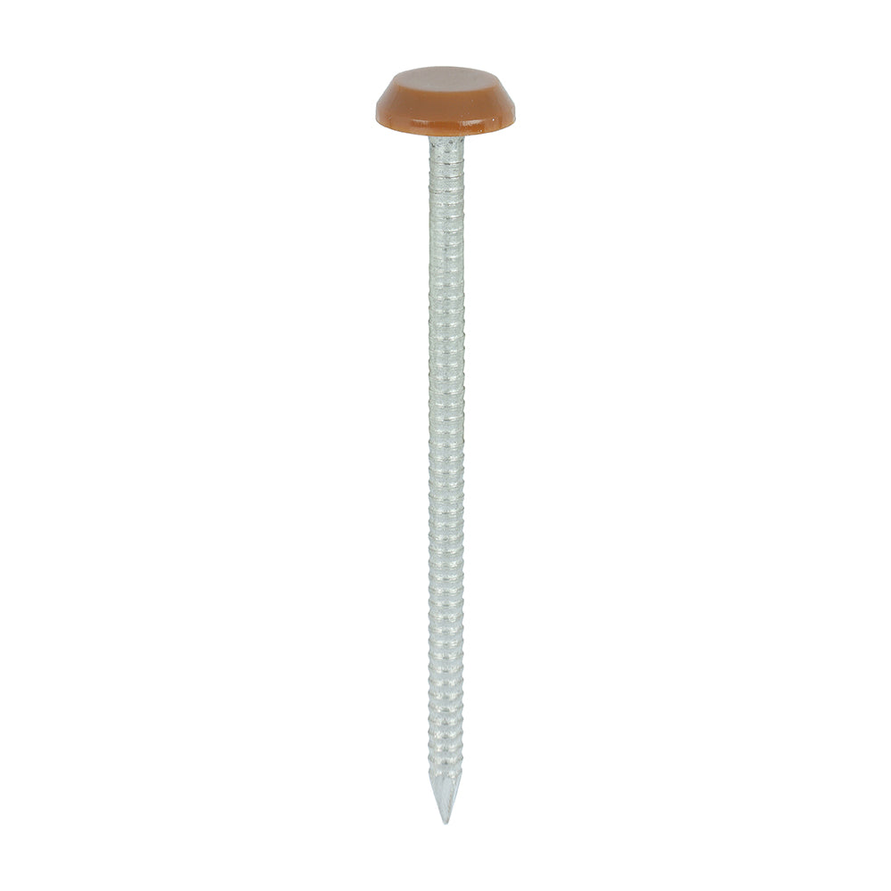 65mm Brown uPVC Poly Top Nails Stainless Steel