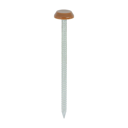 65mm Brown uPVC Poly Top Nails Stainless Steel