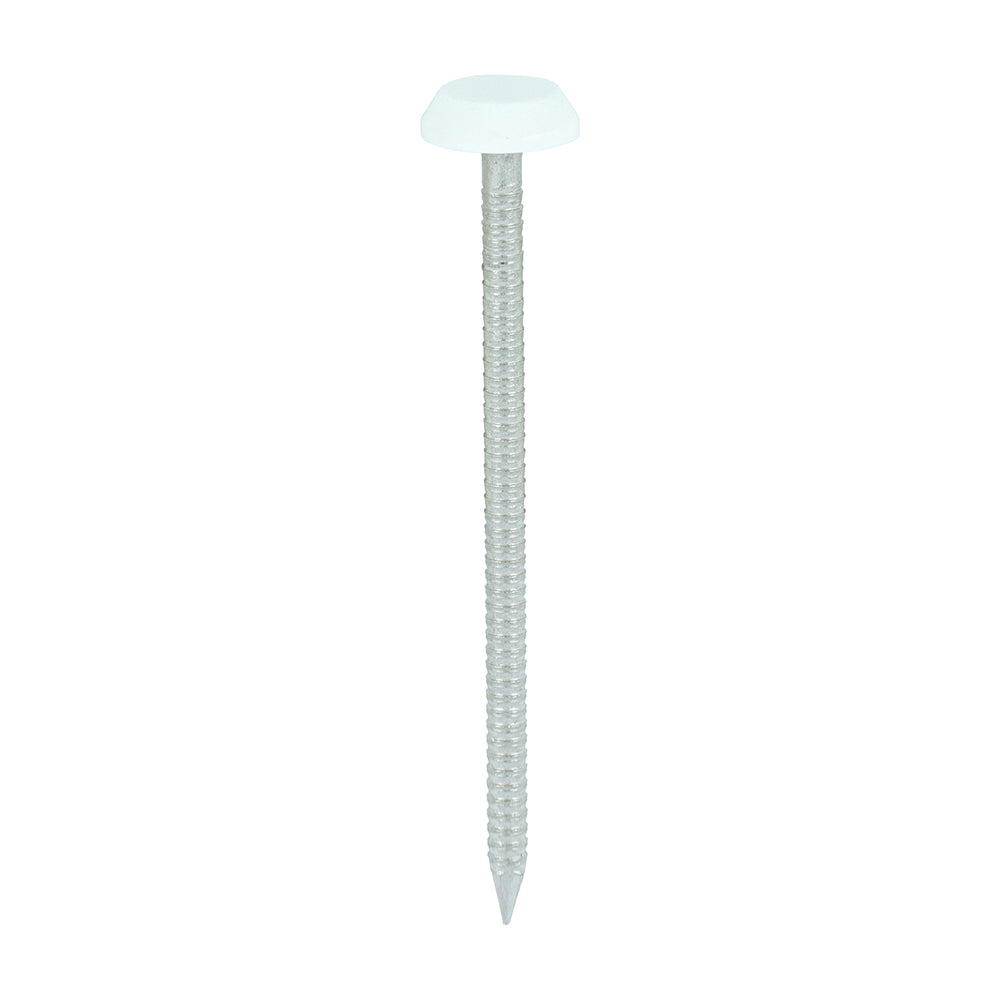 65mm White uPVC Poly Top Nails Stainless Steel