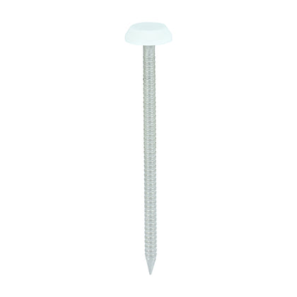 65mm White uPVC Poly Top Nails Stainless Steel