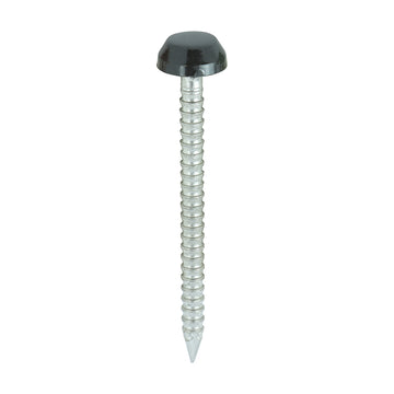 30mm black uPVC Poly Top Nail stainless steel