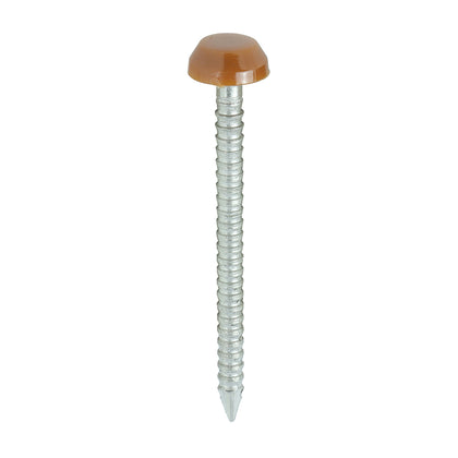 30mm brown uPVC Poly Top Nail stainless steel