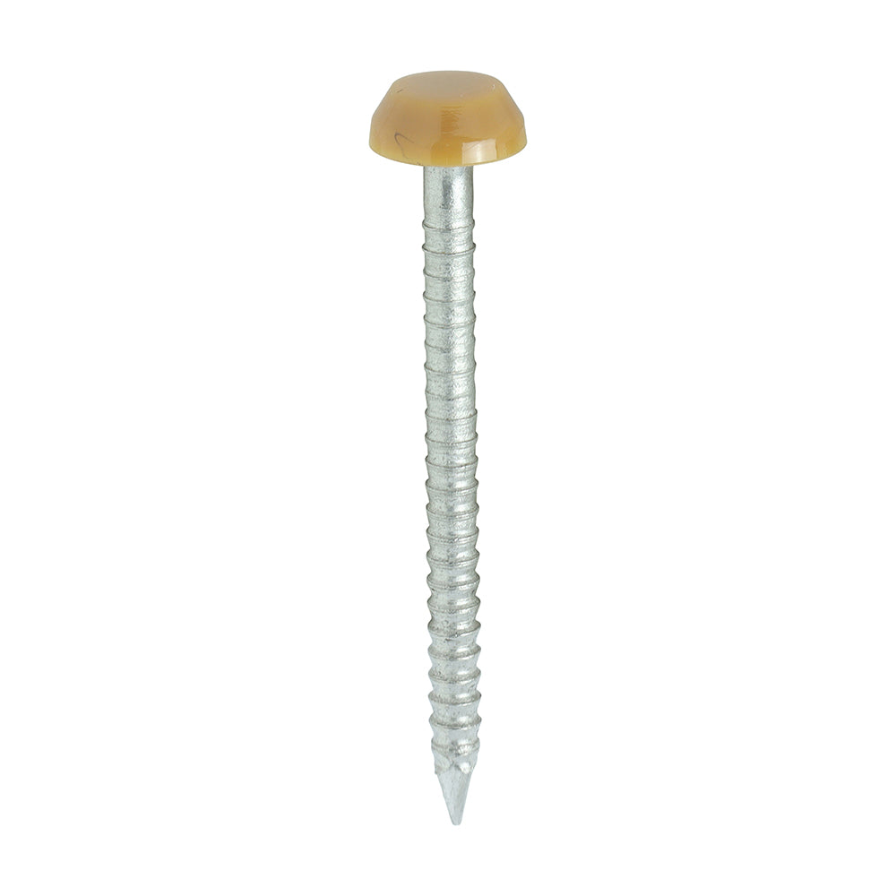 30mm uPVC Poly Top Pins | Oak | Pack of 250 – JONES DIY