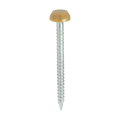 30mm oak uPVC Poly Top Nail stainless steel
