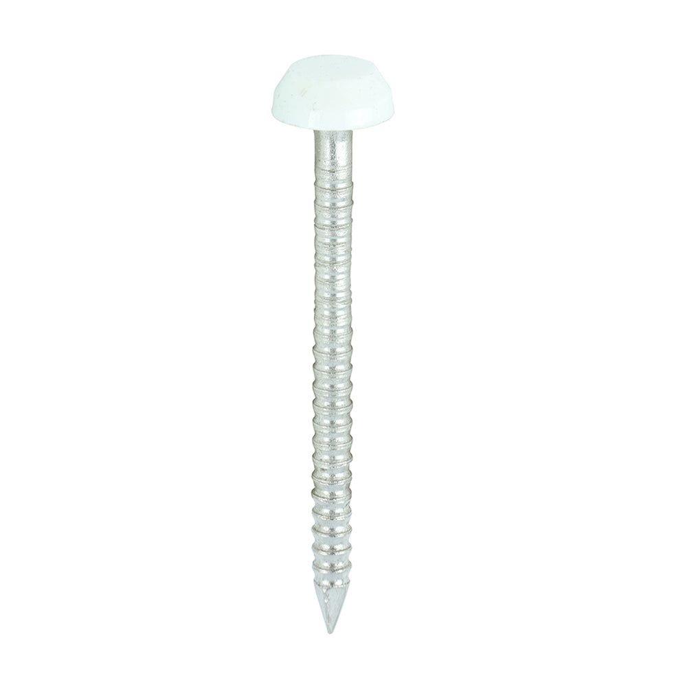 30mm White uPVC Poly Top Nail stainless steel