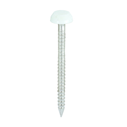 30mm White uPVC Poly Top Nail stainless steel