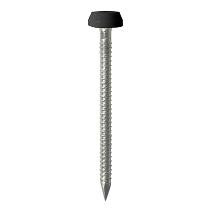 40mm black uPVC Poly Top Nail stainless steel