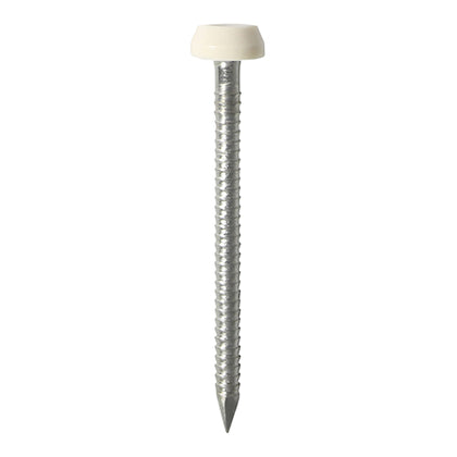 40mm cream uPVC Poly Top Nail stainless steel
